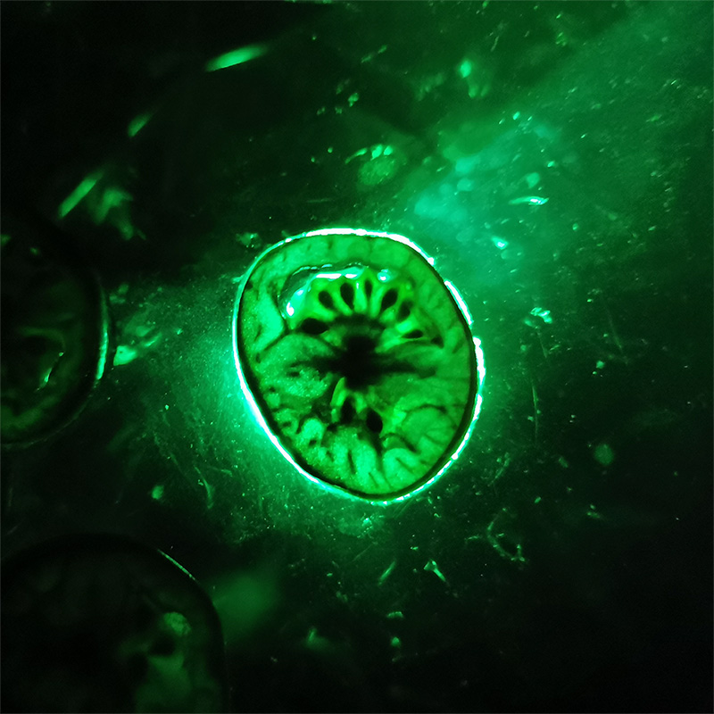 Project by Irene Terrón