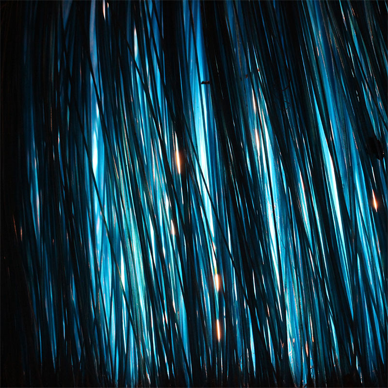 Project by Marina Salvador