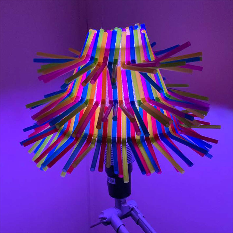 Project by Sofiya Ryabocon