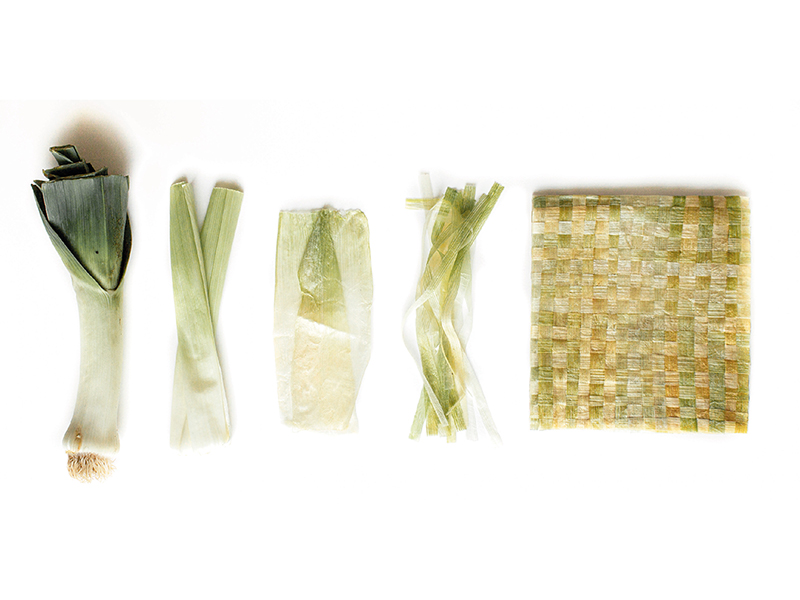 Project by Anaïs Llop