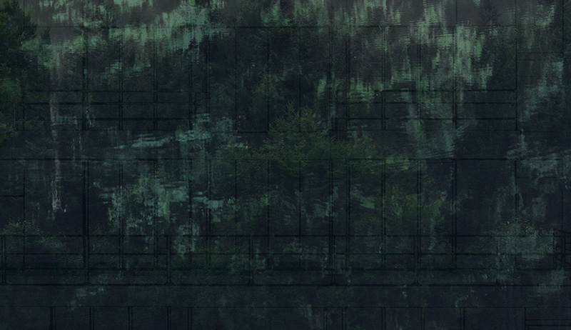 Project by Isabel Mejía