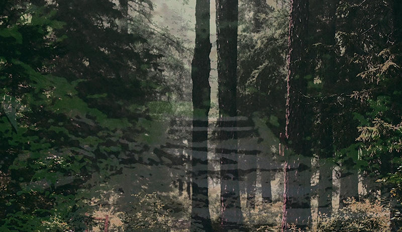 Project by Isabel Mejía