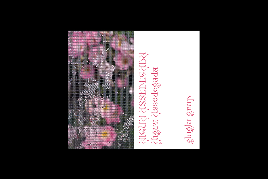 'La Font font' Alba Acebes 