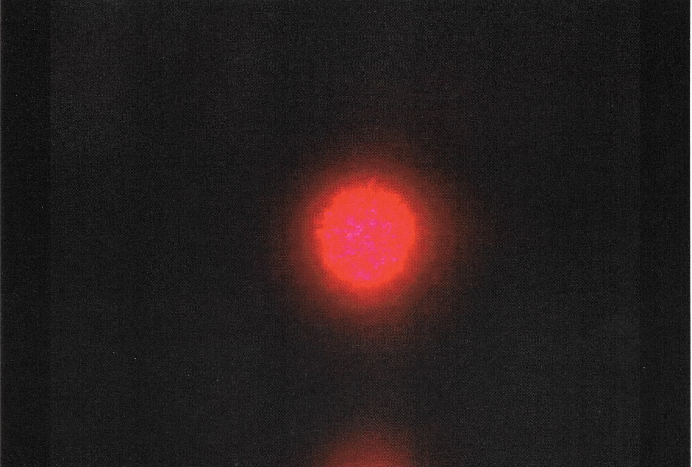 Láser Madre [LOOP 2023 x einaidea]