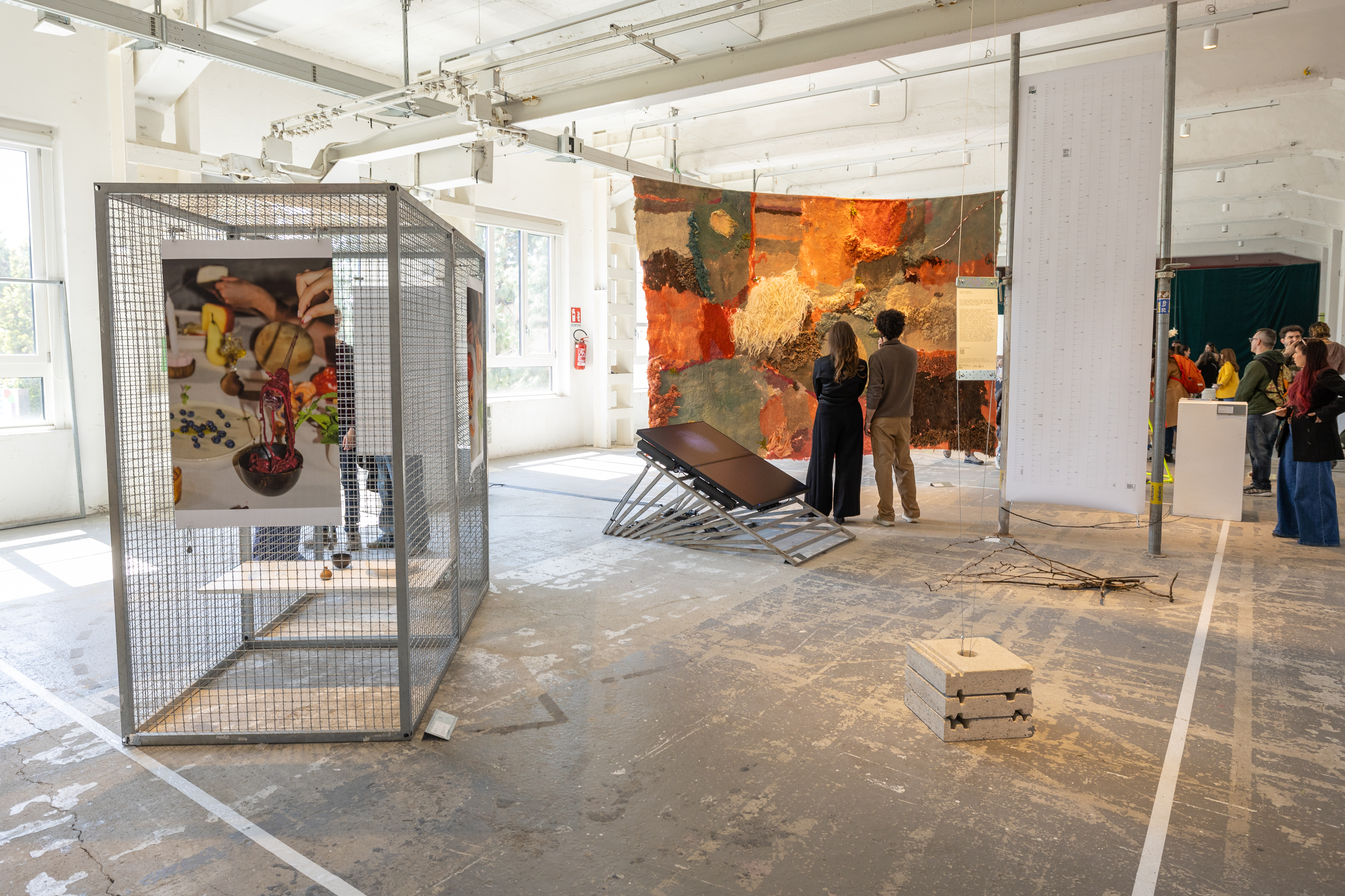 Ecosystem Sampler (Sporal properties), BASE Milano, 2025