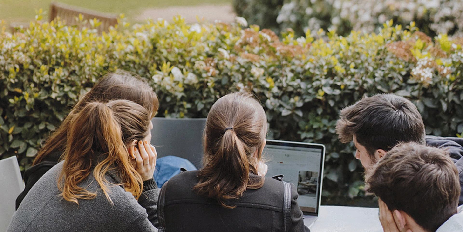 Horaris del Grau en Disseny. Curs 2025-2026