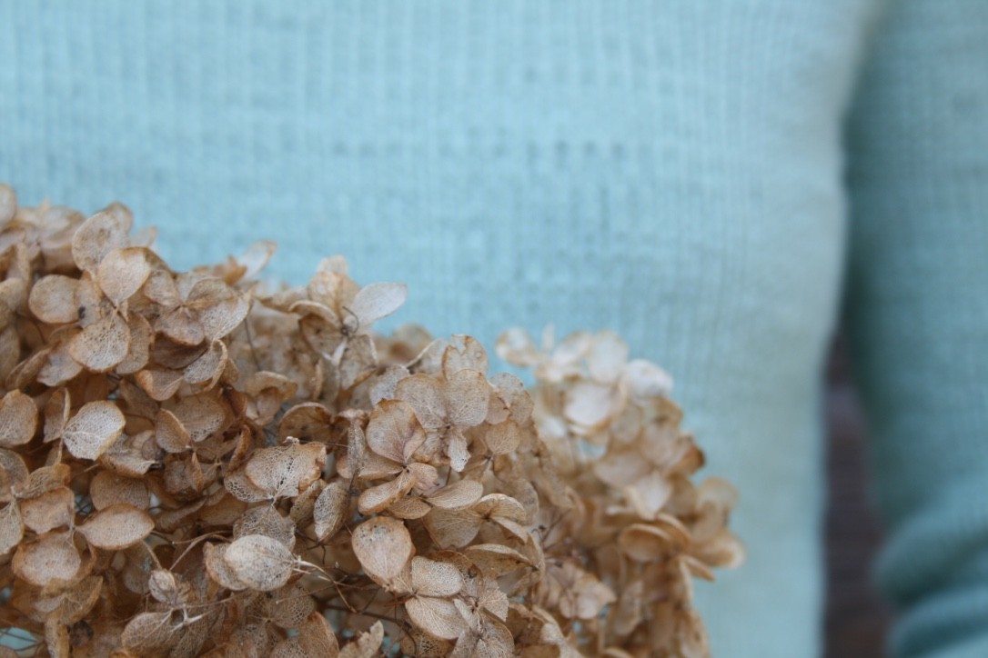 The Ecologies of Fashion, Clara Mallart