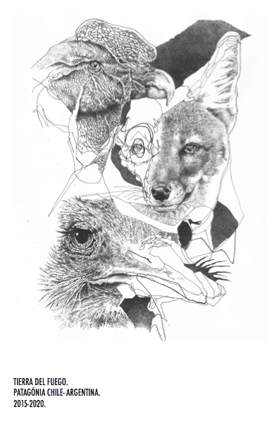 Etienne Cristoffanini