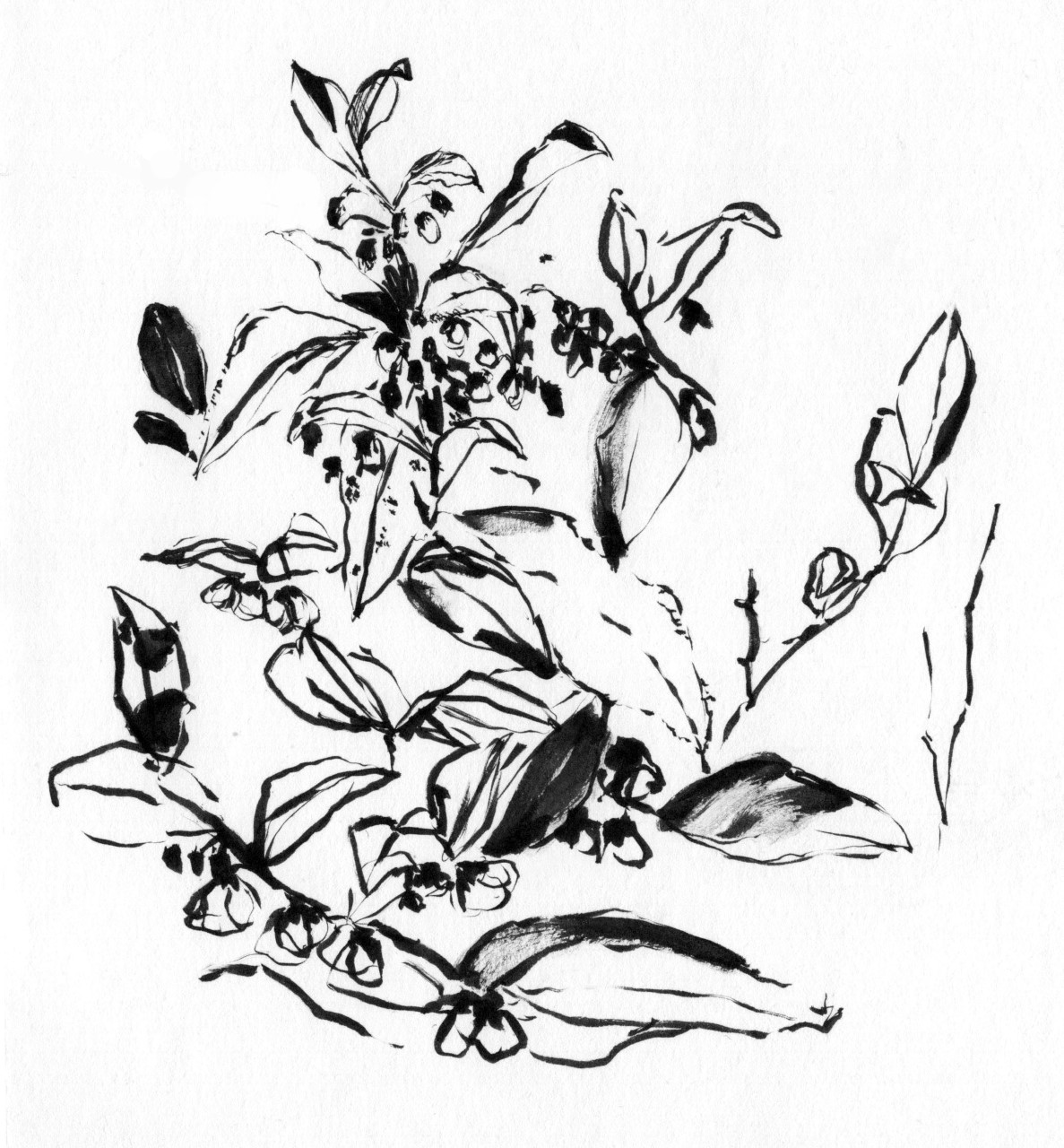 Natalia-Lin Blay Casas