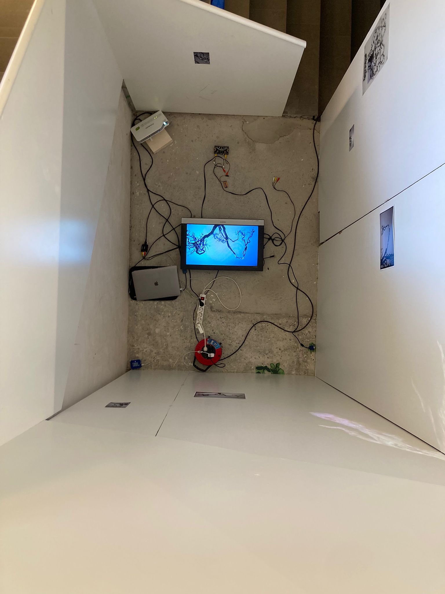 Exposició de Projectes 6 a Eina Bosc 