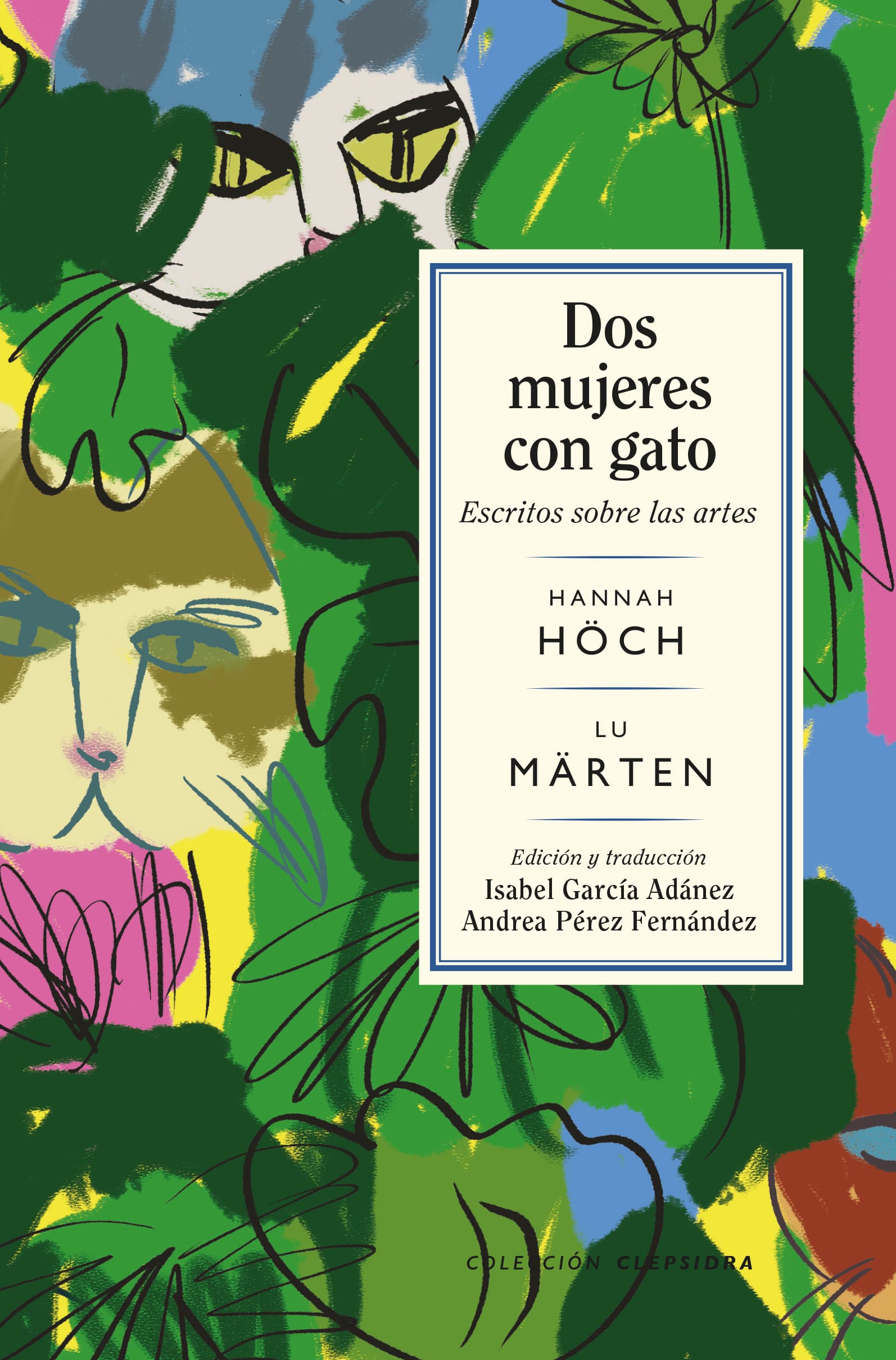 Höch textbook that Andrea publishes following her thesis 