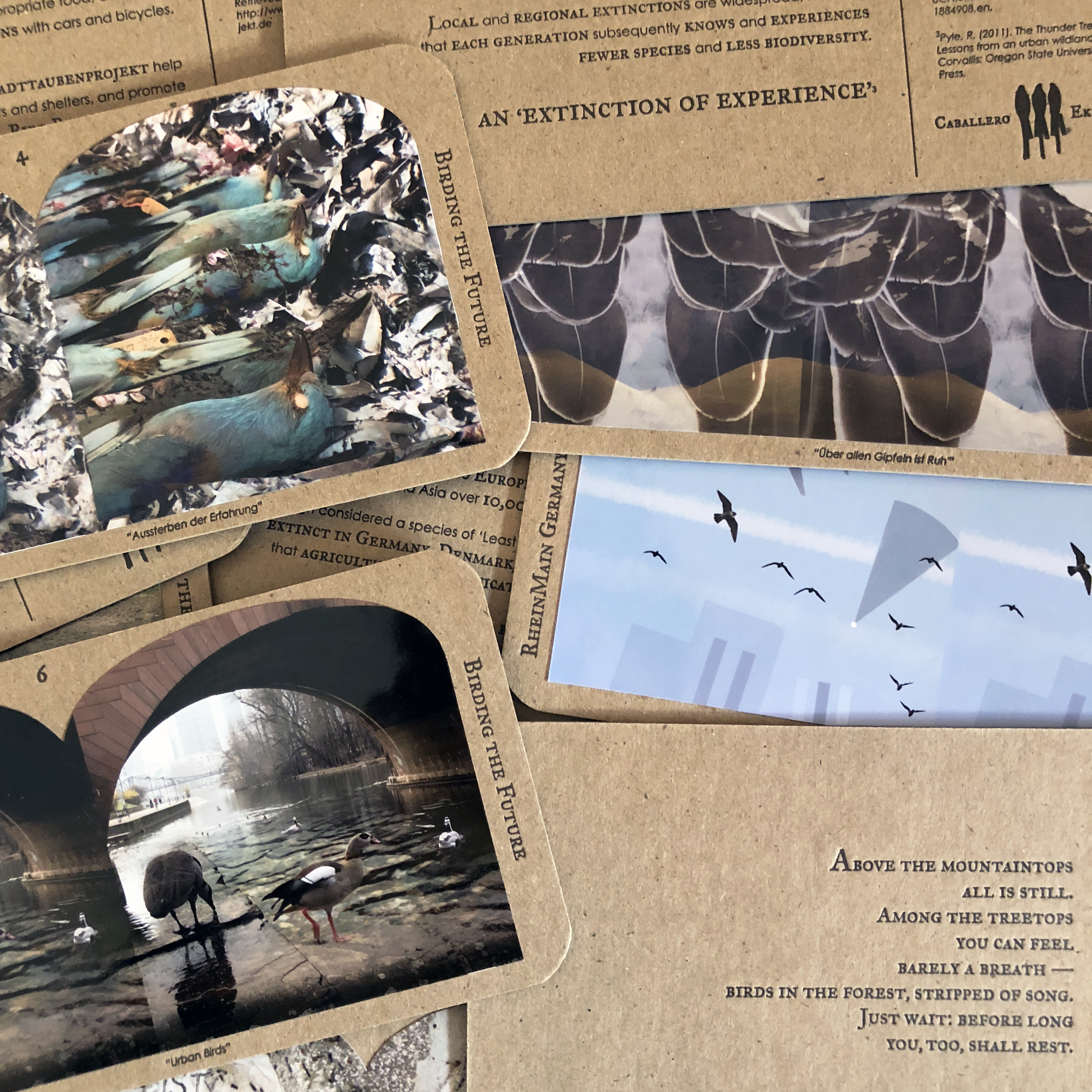 Birding the Future, Krista Caballero & Frank Ekeberg