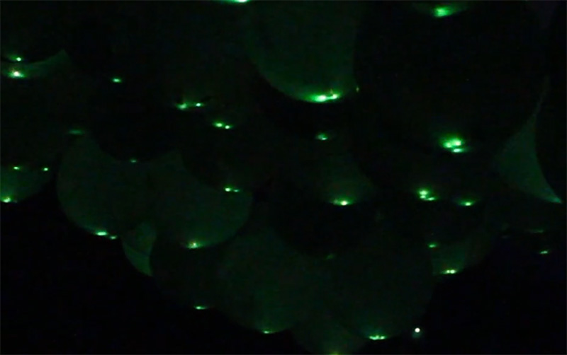 “Noctulica” a Llum Bcn Poblenou 2019