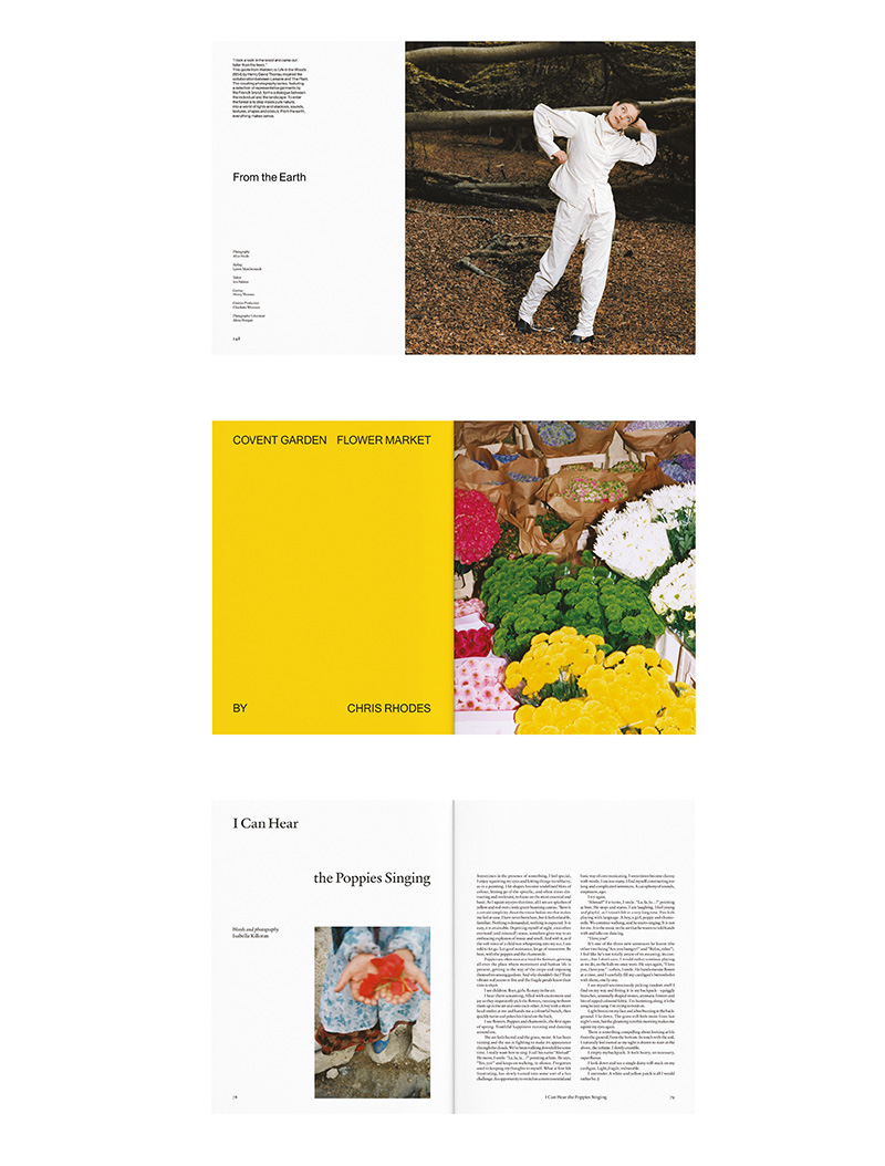 "The Plant" editorial project by Isa Merino and Carol Montpart, former students of EINA