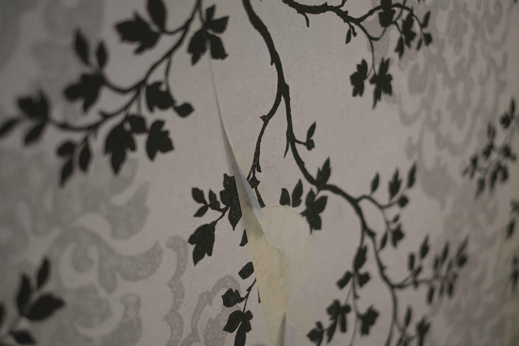 "AMEN", by Néstor Rives