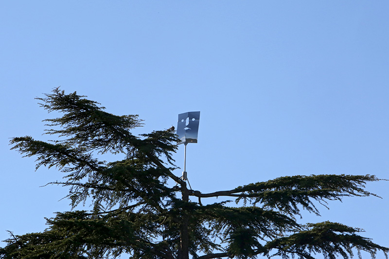 Antoni Llena - Mirall - Picture: Fotoformat