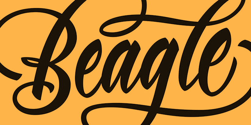 EINA Lettering techniques course