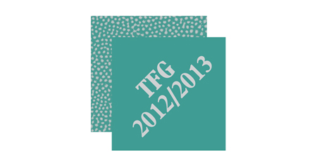 Graduation ceremony Class of 2013