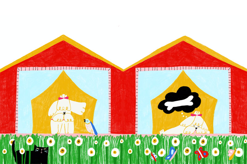 Carolina Monterrubio