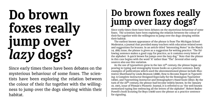 Diaria Pro by Andriy Konstantynov