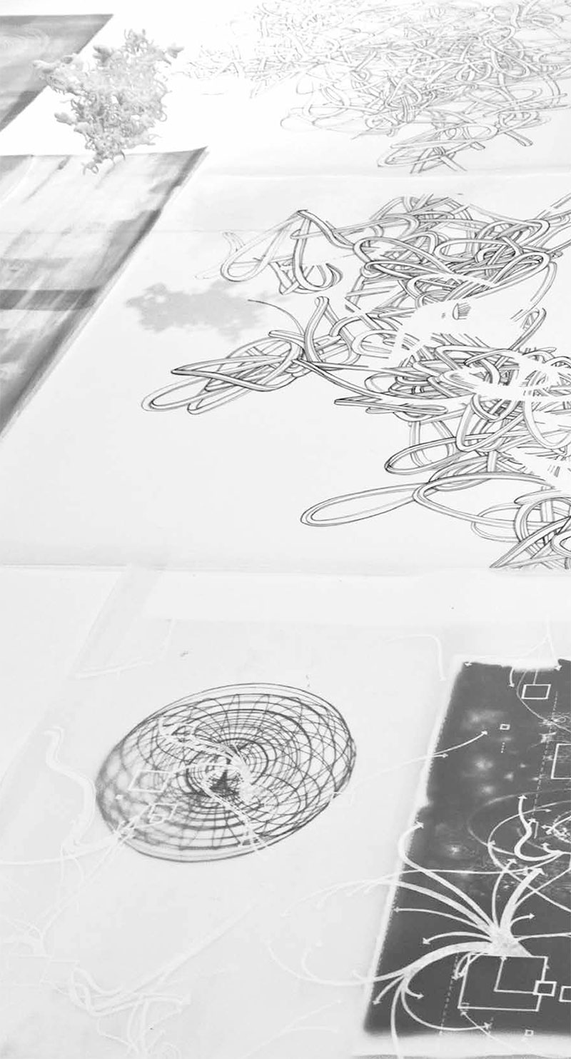 Exhibition "Concordant amb cordes” by Jo Milne