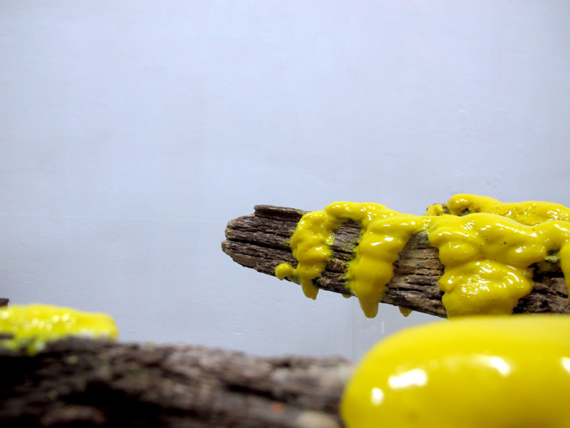 EINA exhibition by Lluc Baños