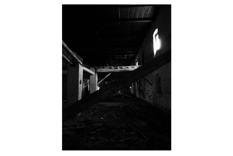 Martina Jané i Gutiérrez