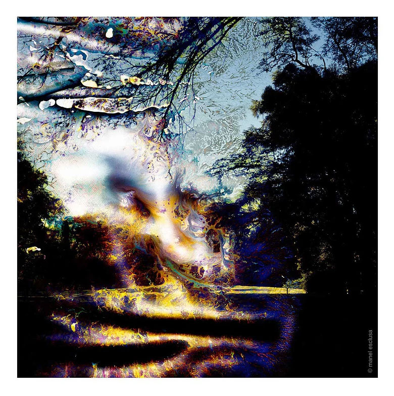 Jardí d'hummus IV - Manel Esclusa