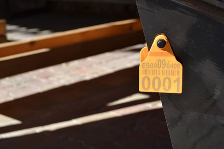 Butaca Comelles de Martí Gómez