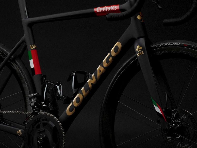 More, The Brand Design Executive Programme by Mucho