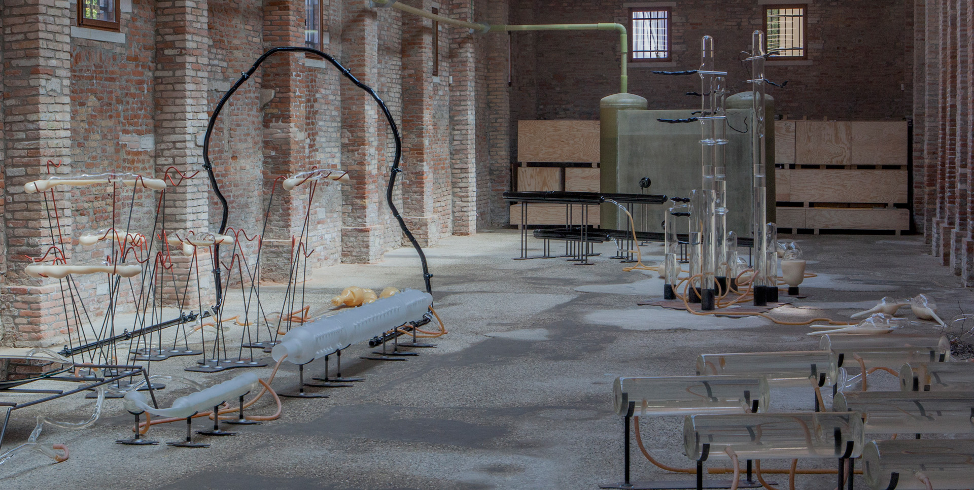 Disseny i producció d'exposicions 