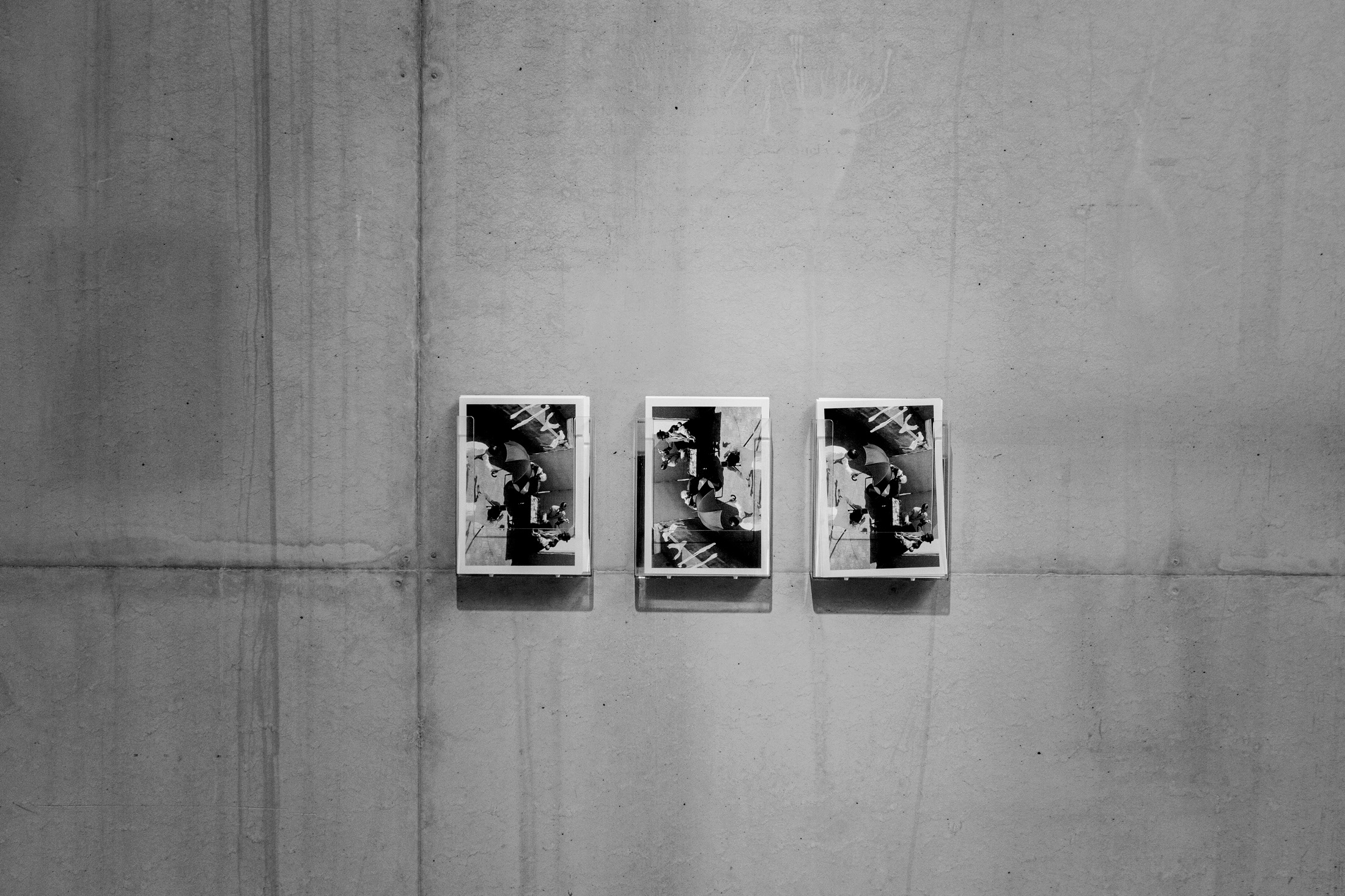 Exposicions. Curadoria i Disseny