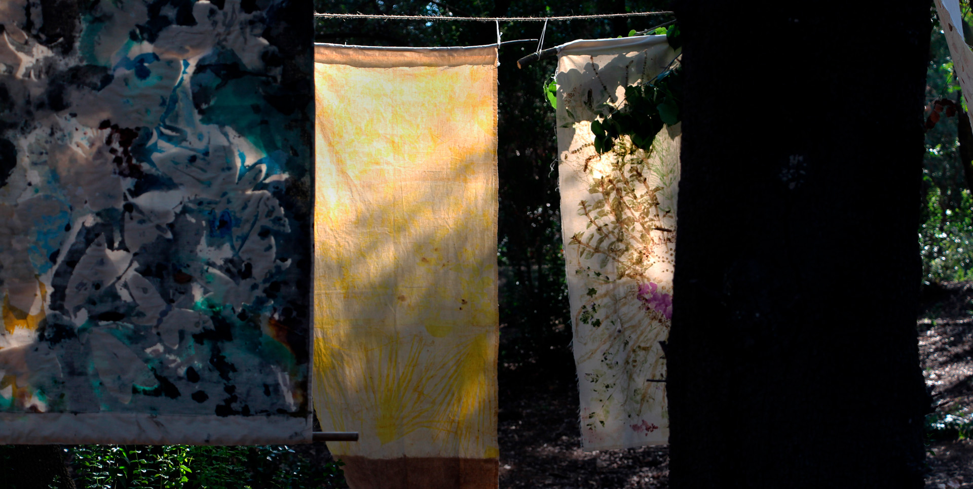 Disseny i art del jardí