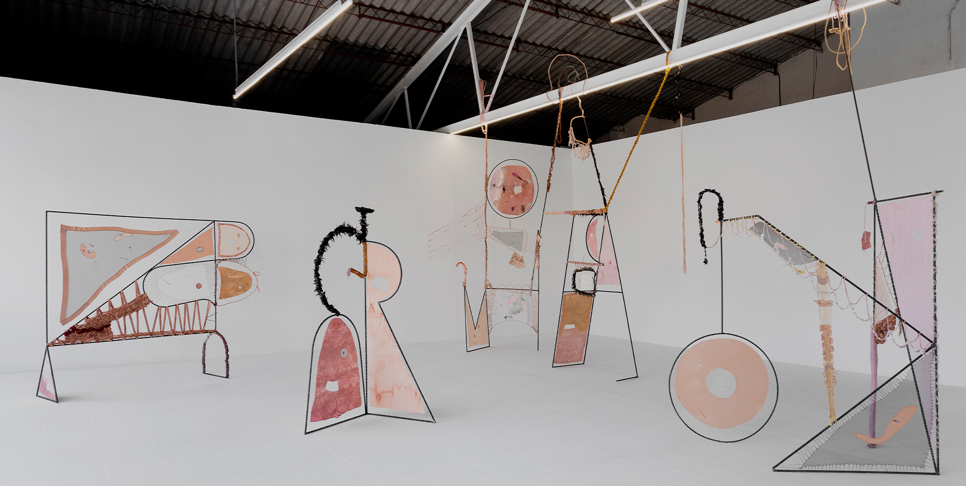Exposicions. Curadoria i Disseny