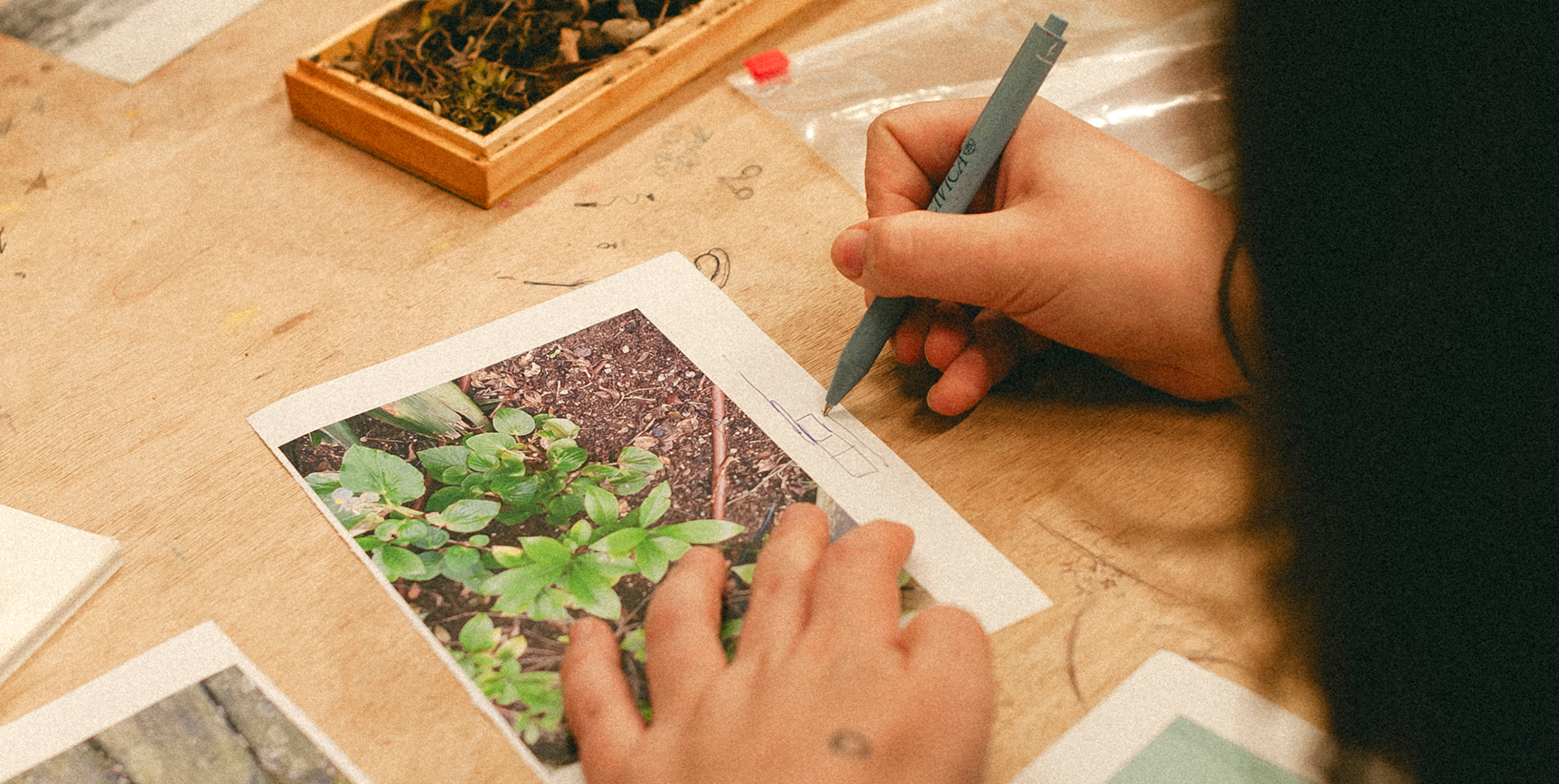 Disseny i art del jardí