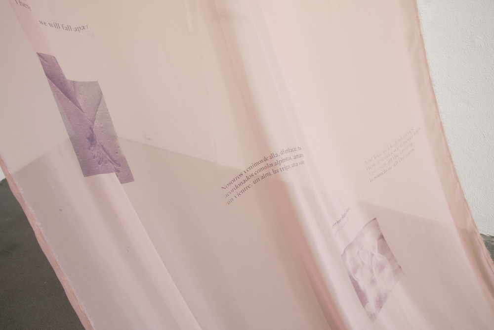 This Crater Of Opacity