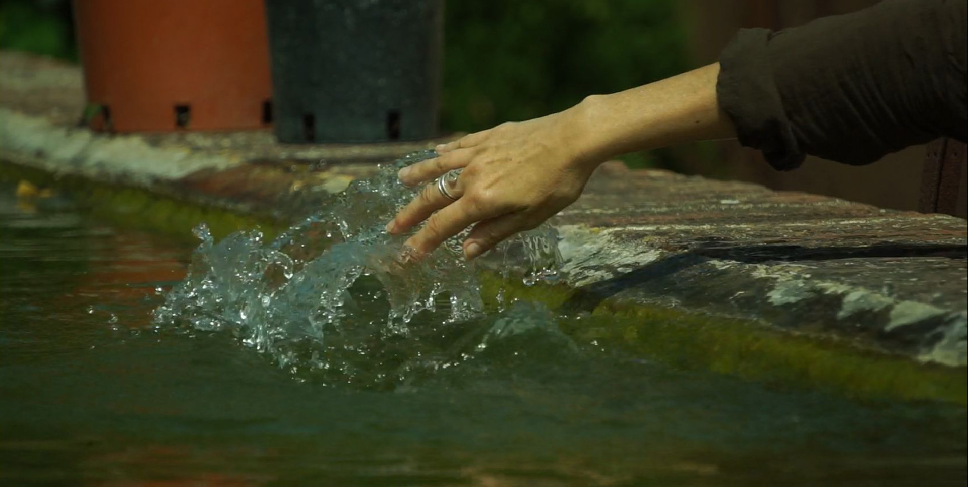 Resilience Thinking Walkshop