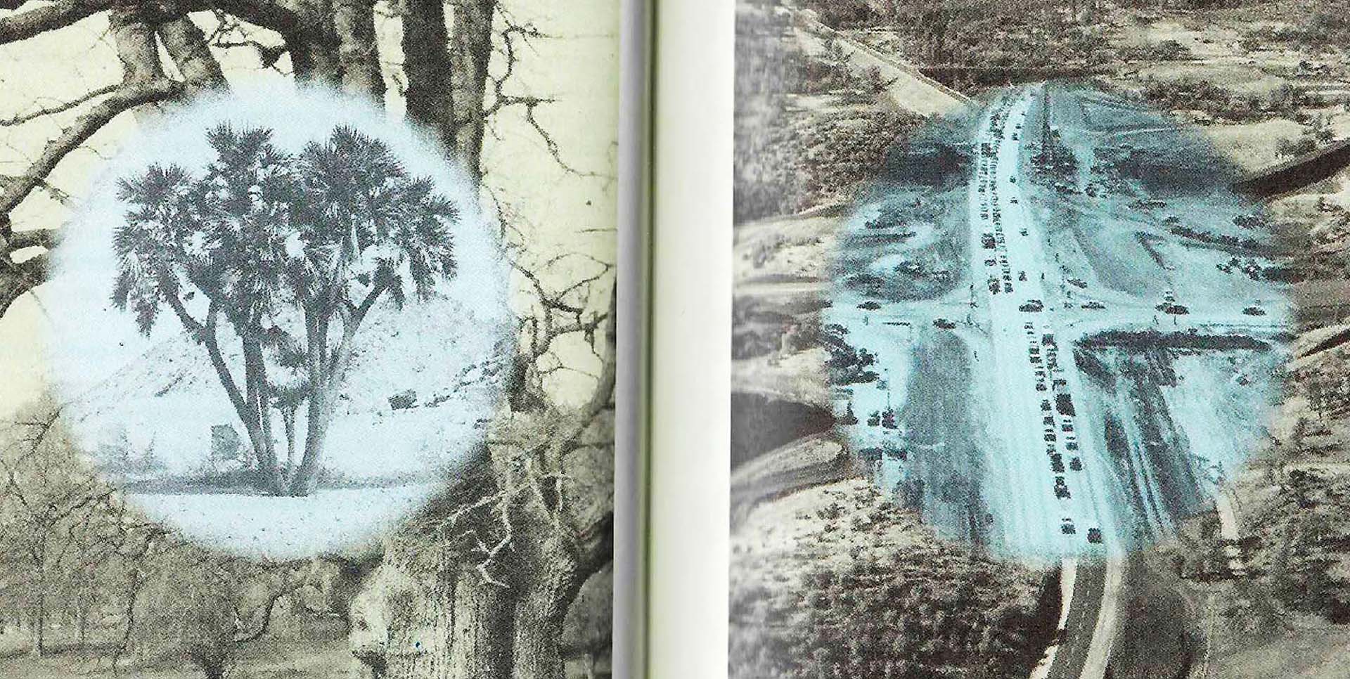 Diarios sobre el cuerpo