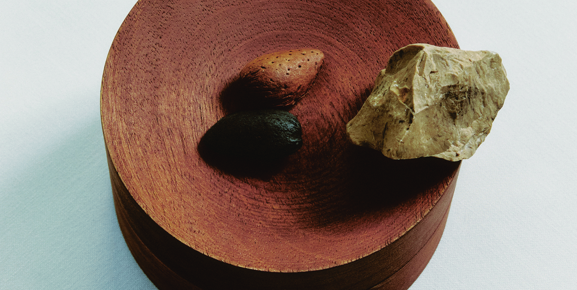 'Ametlla, ametllat i ametlló' de Maria Serrallonga