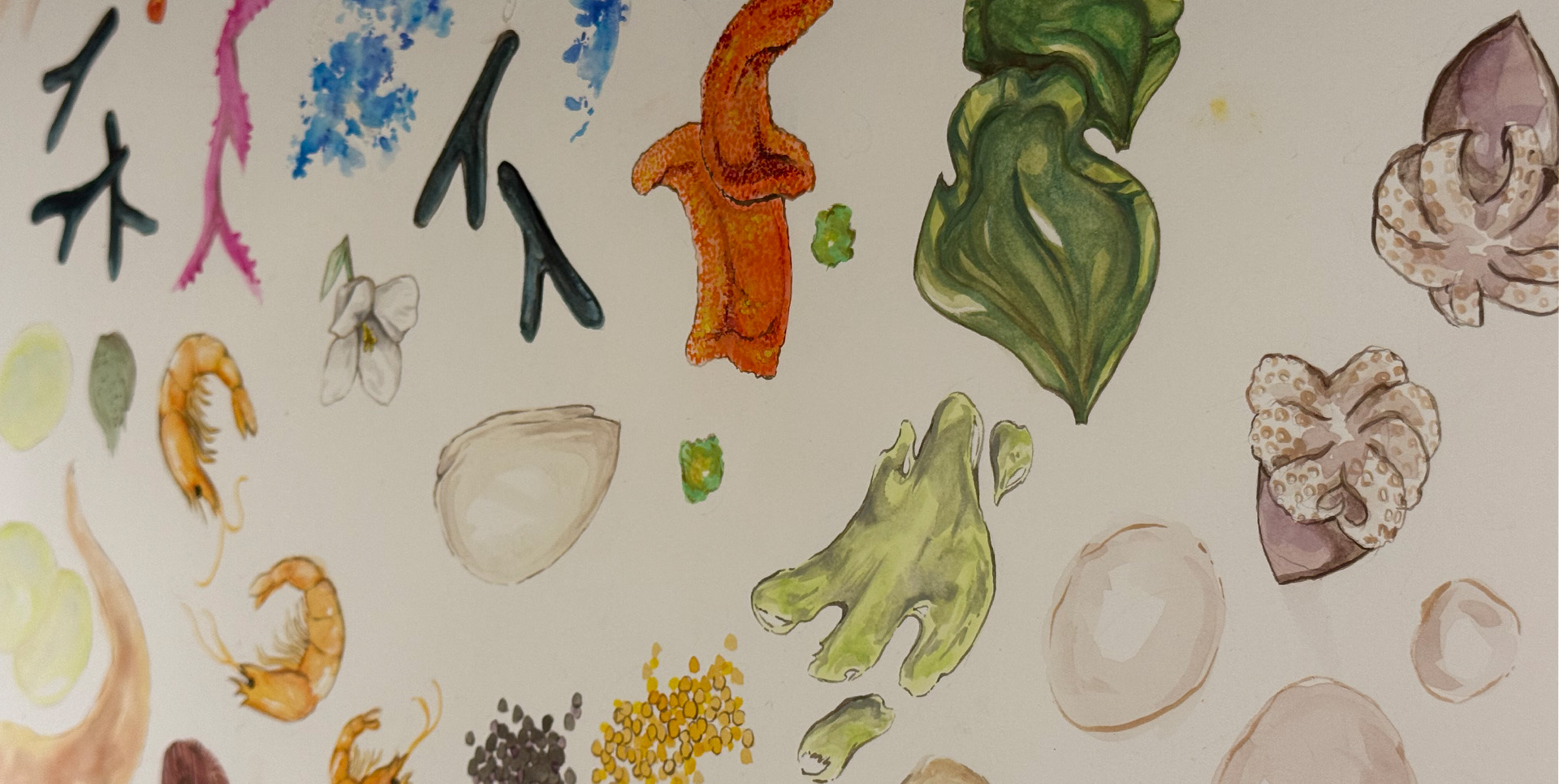 Eina i el restaurant Disfrutar exploren el dibuix com a eina de creació gastronòmica 