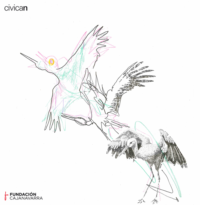 Etienne Cristofanini