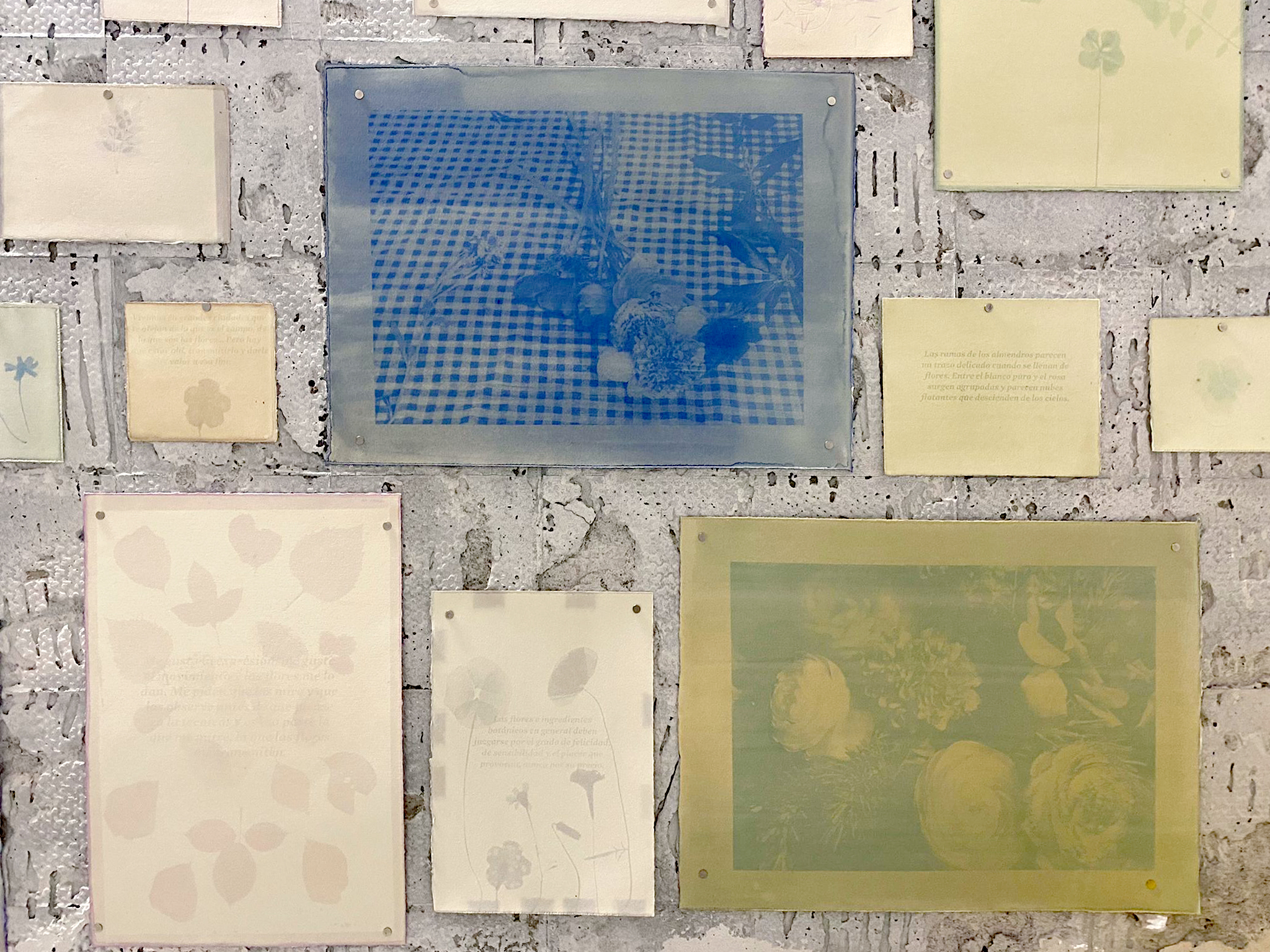 El Saber de les Flors