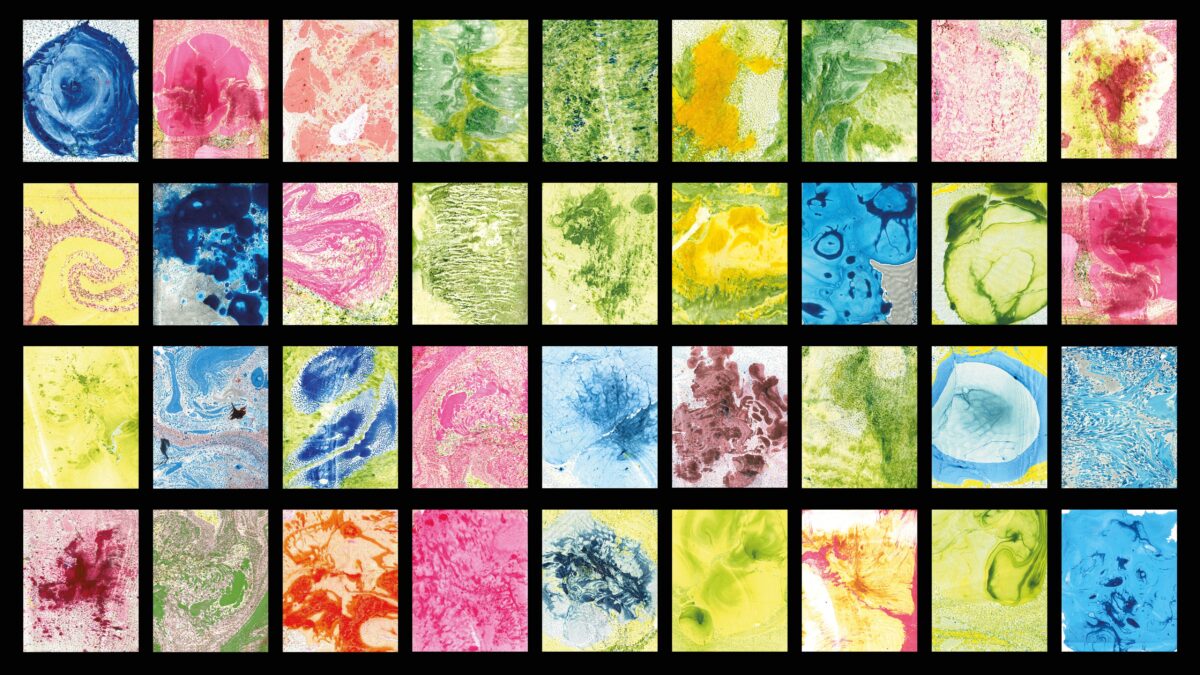 Natura Naturans Natura Naturata