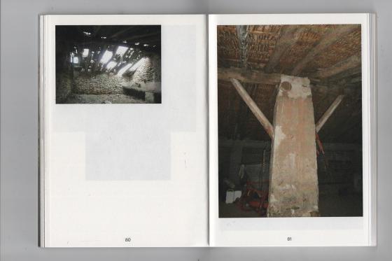 cau la pedra: entreveig