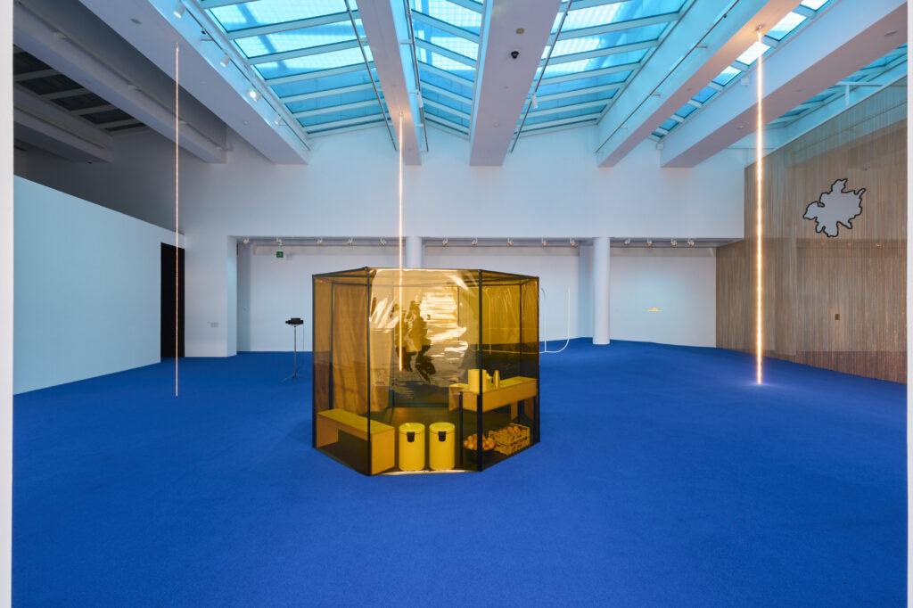 Una fulla al lloc de l’ull