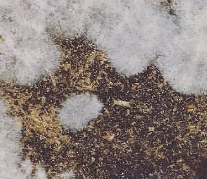 Materialidades emergentes