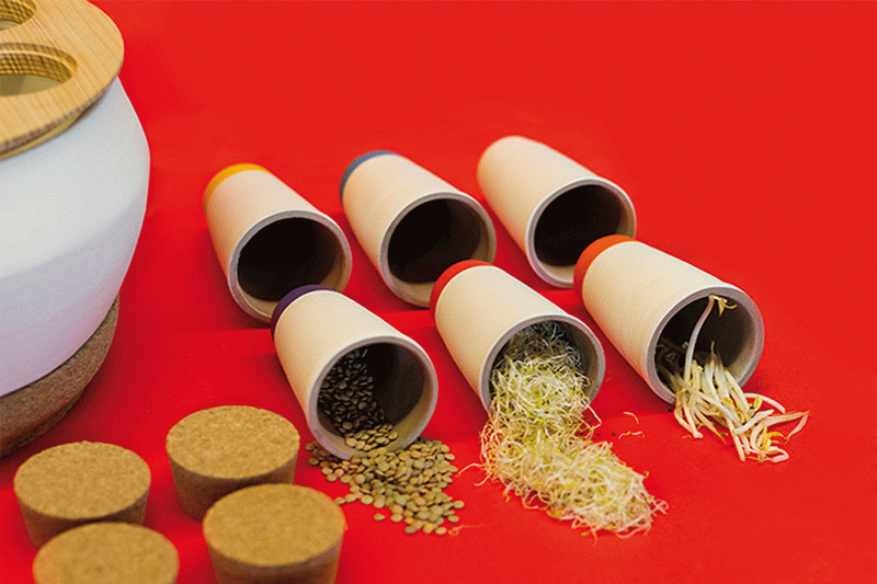 TFG de Octavio Barrera a Eina - Germín