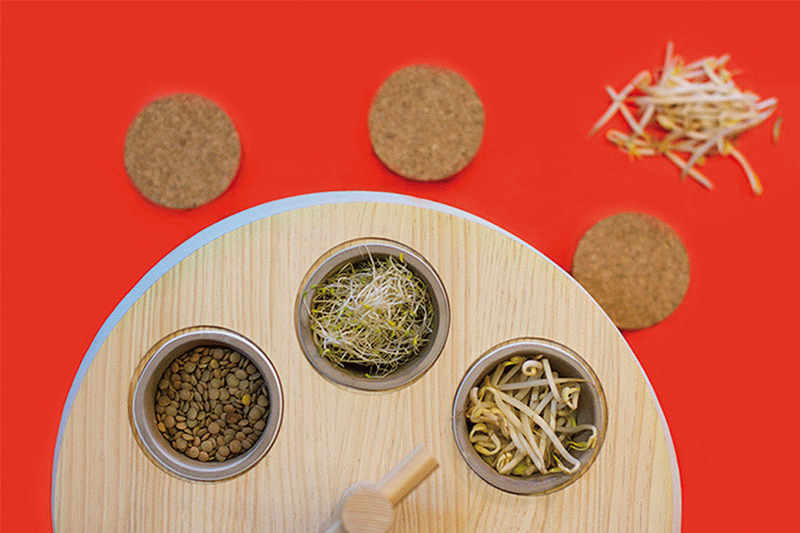 TFG de Octavio Barrera a Eina - Germín