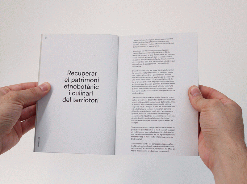 TFG of Miguel Bustos at Eina - Cooking with wild plants from the Sénia