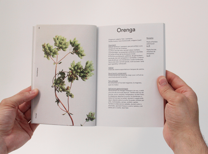 TFG of Miguel Bustos at Eina - Cooking with wild plants from the Sénia